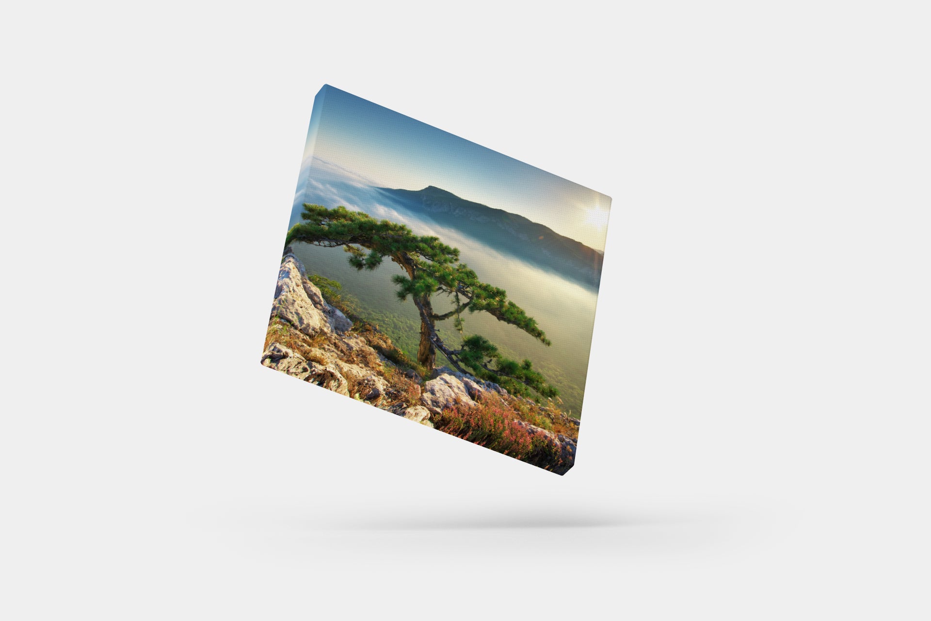 Photo Canvas - Standard Sizes