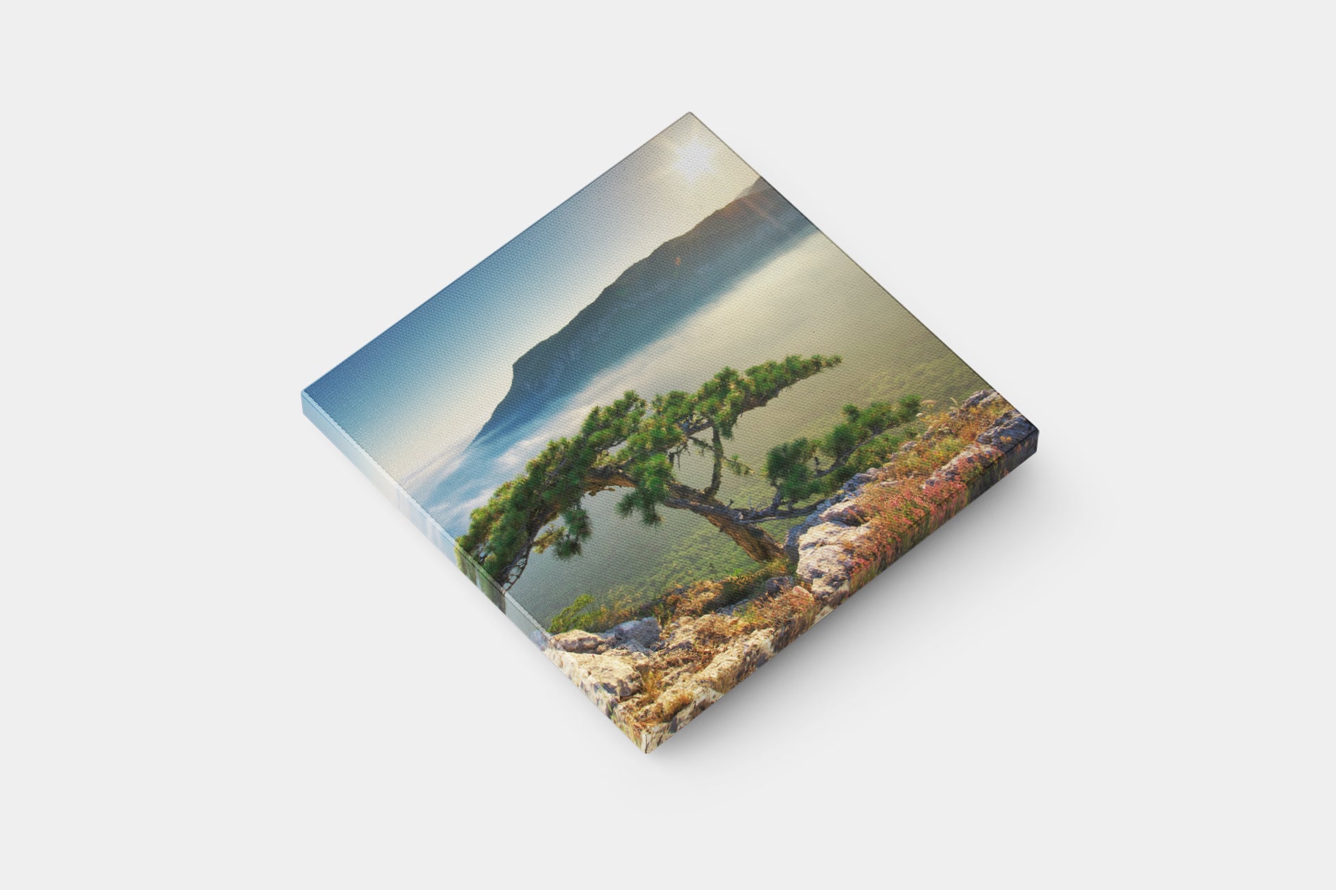 Photo Canvas - Standard Sizes